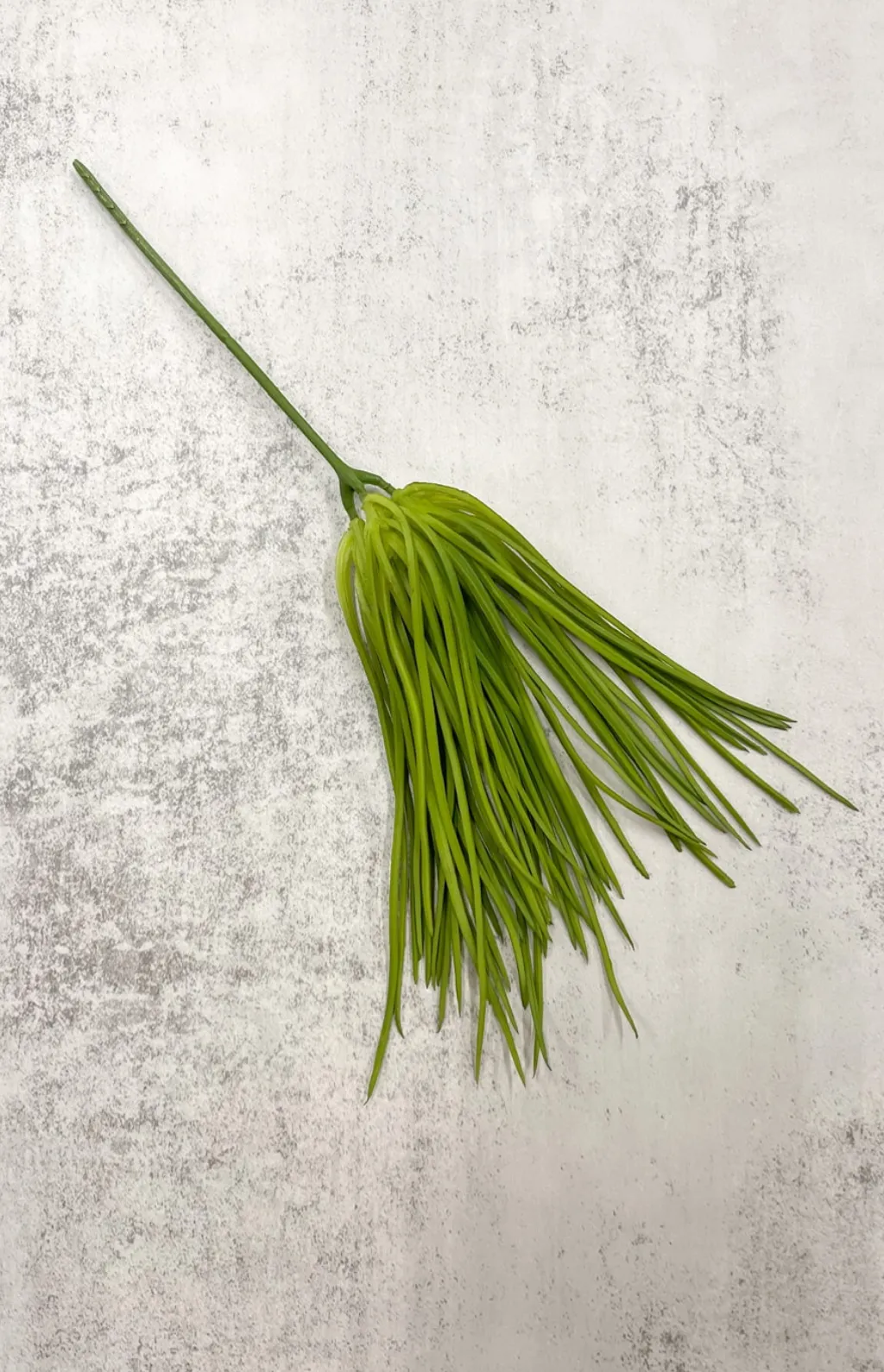 Soft Green Grass Pick